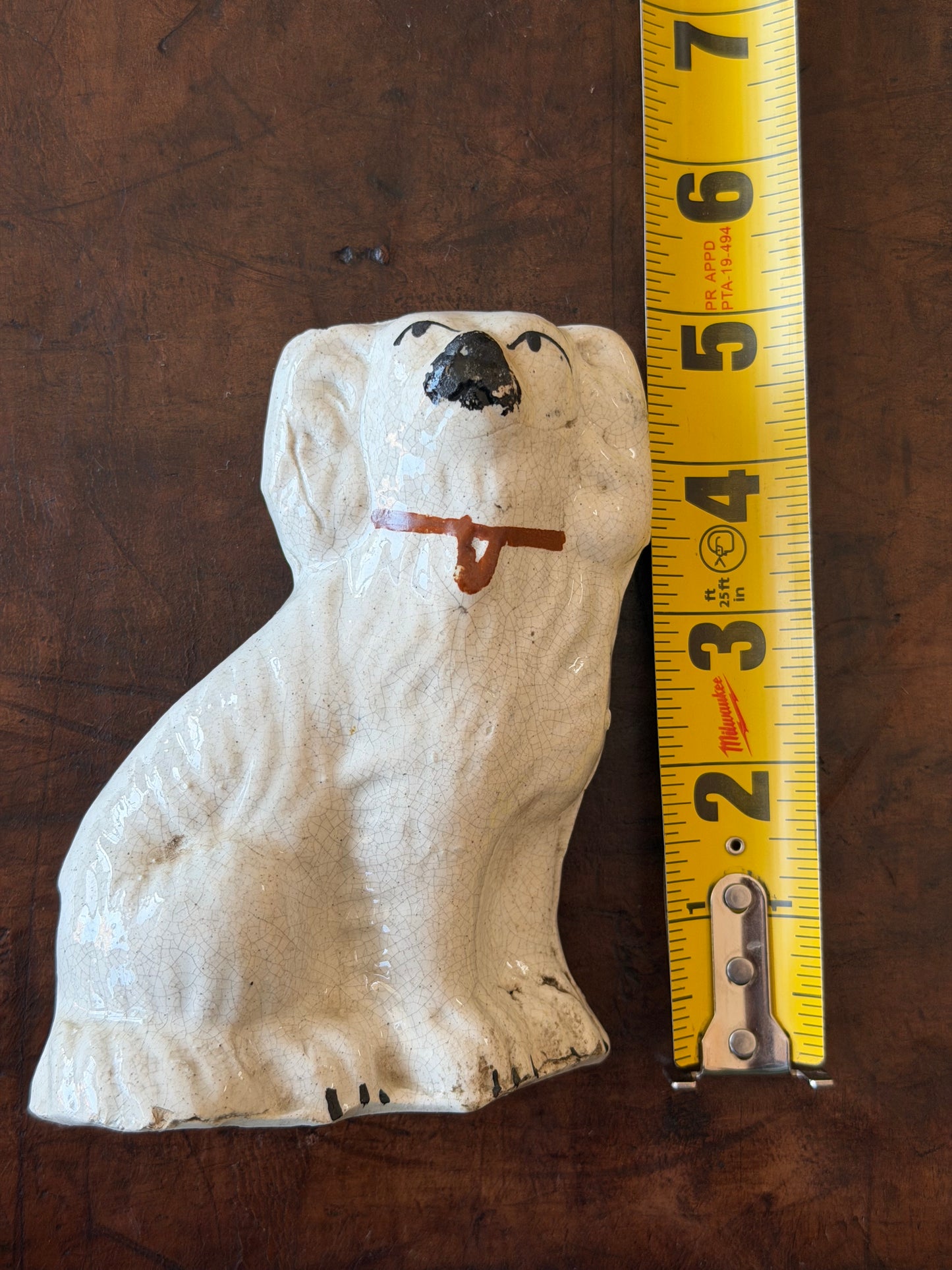 Miniature White Staffordshire Spaniel w/ Collar