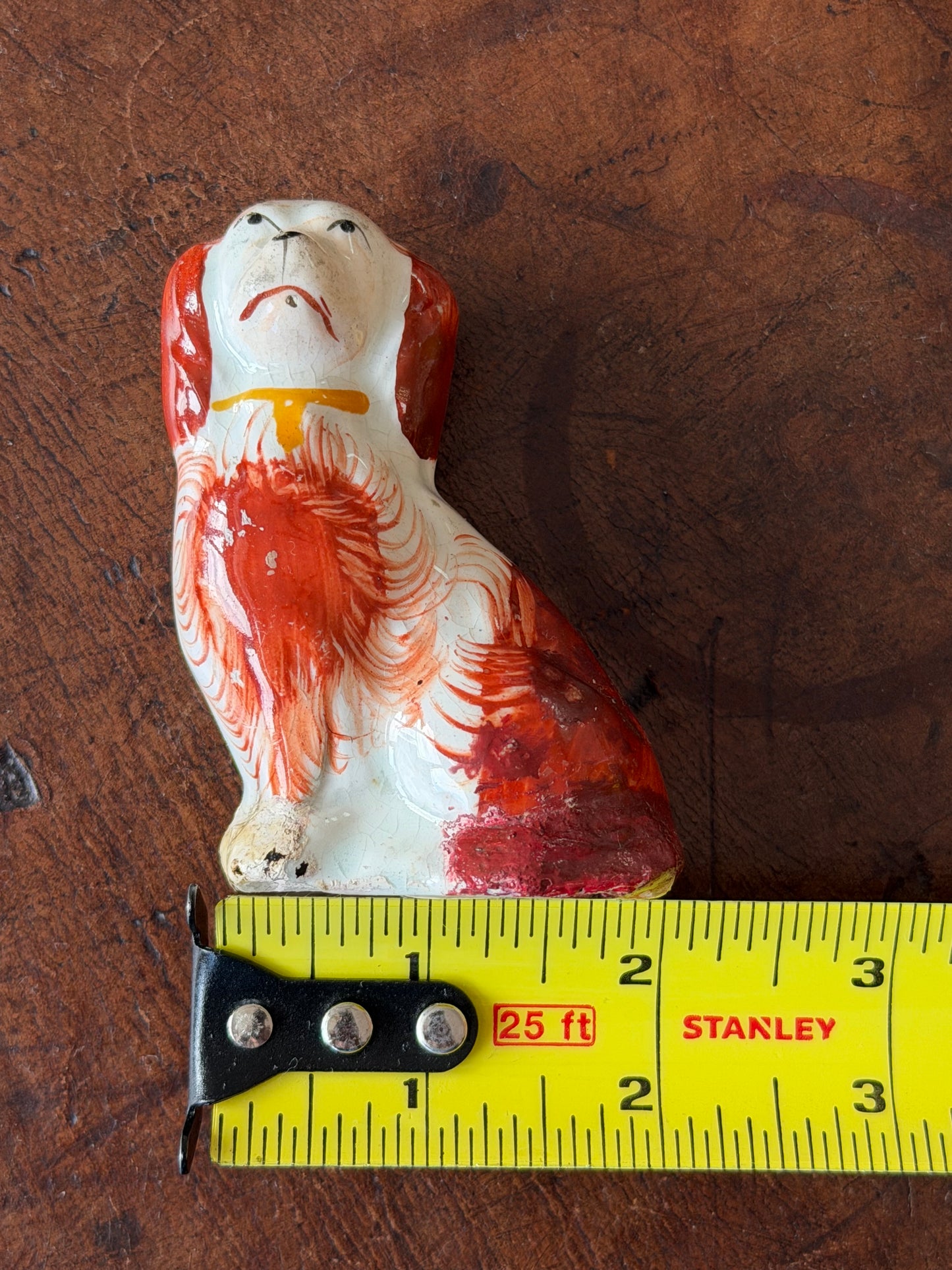 Adorable Miniature Staffordshire Spaniel