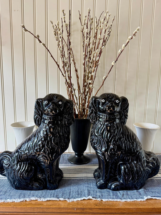 Jackfield Spaniels: Black Sheep or Dark Horse?