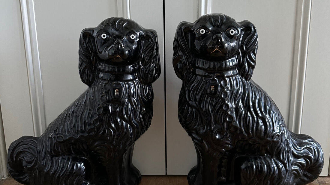 Jackfield Spaniels: Black Sheep or Dark Horse of the Staffordshire Dog Family?