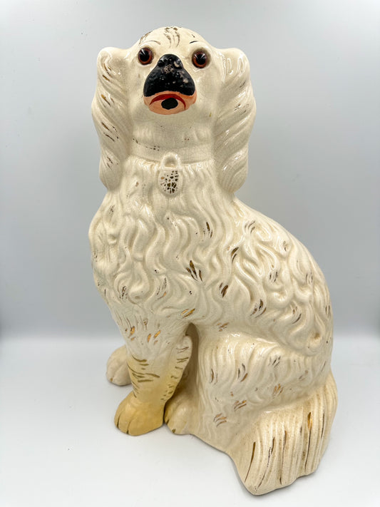 Extra large white Staffordshire Spaniel with black snout and glass eyes