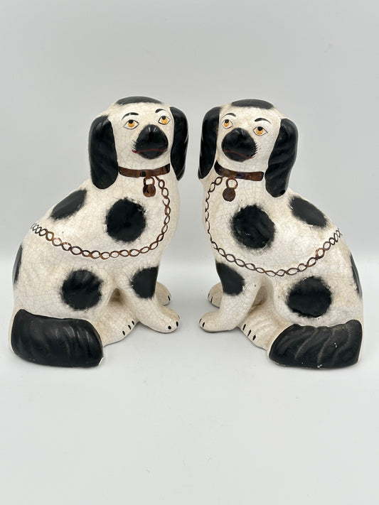 A pair of black and white Staffordshire King Charles Spaniel sculptures with hand painted faces, black spots, a gilt collar, lock, and chain.