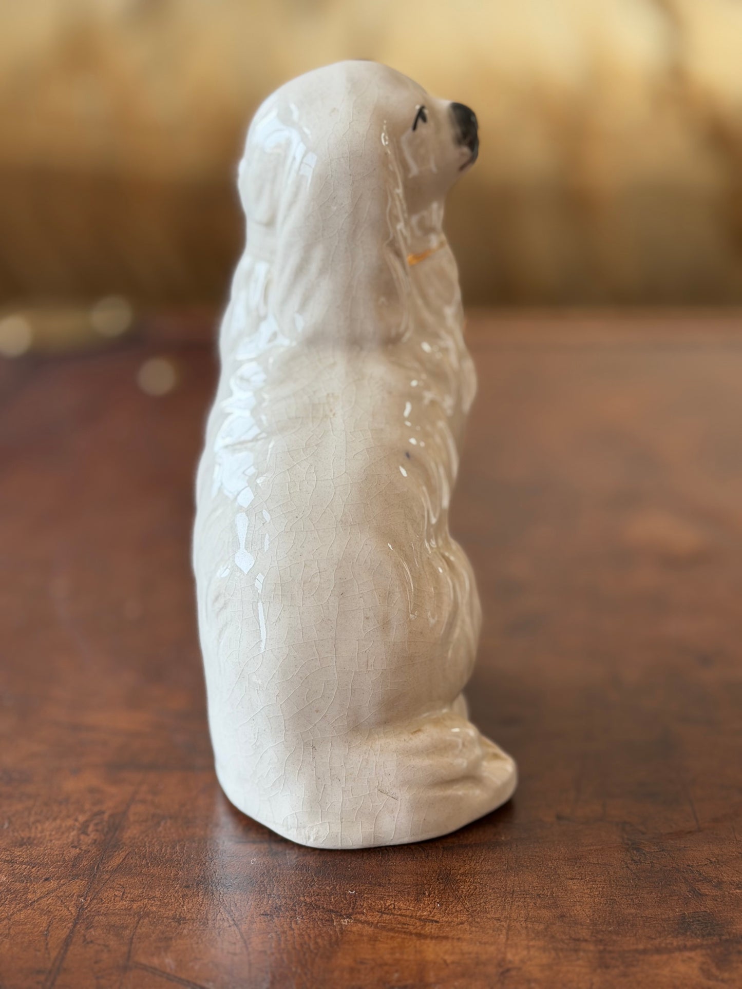 Miniature White Staffordshire Spaniel