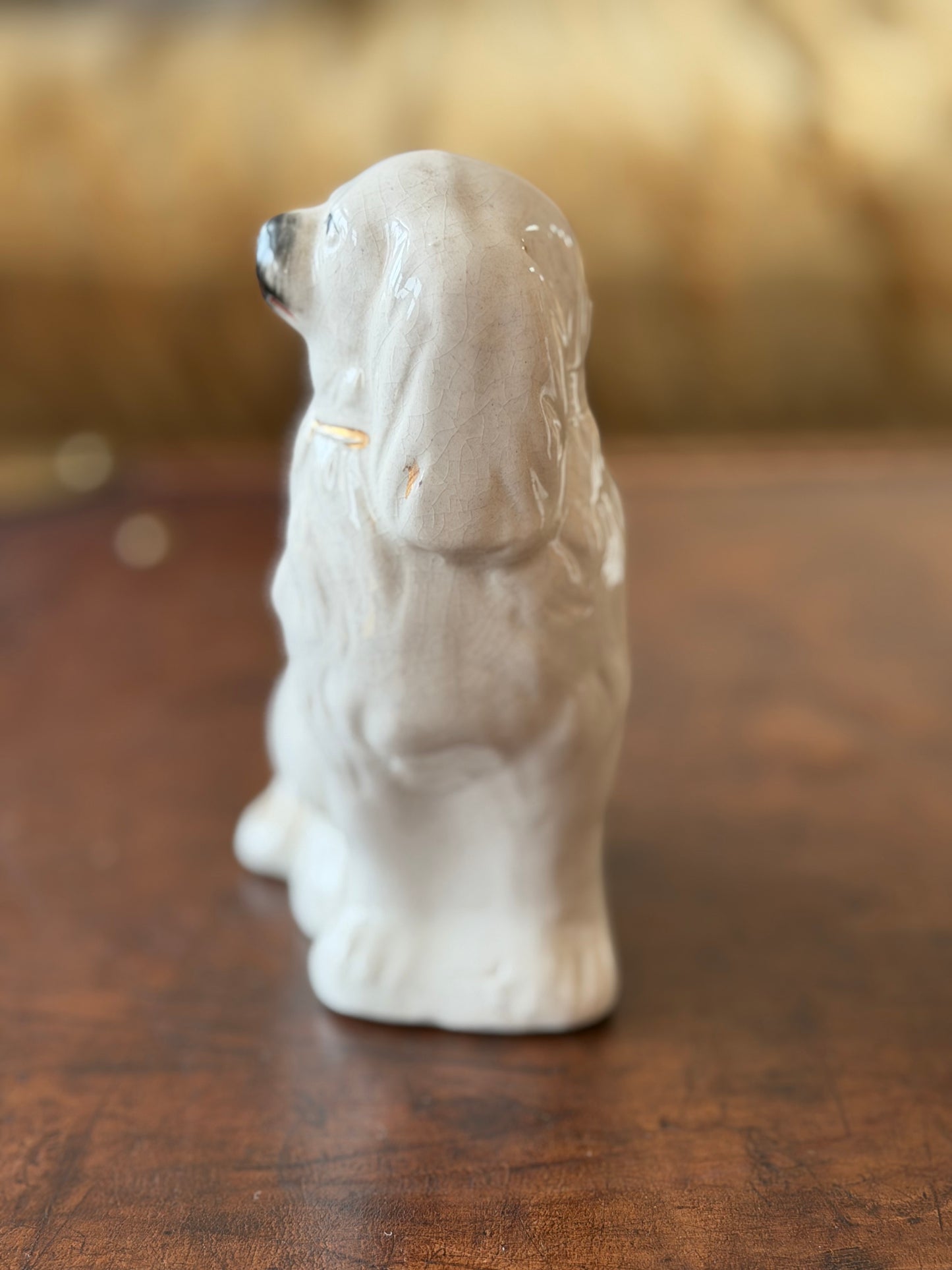 Miniature White Staffordshire Spaniel