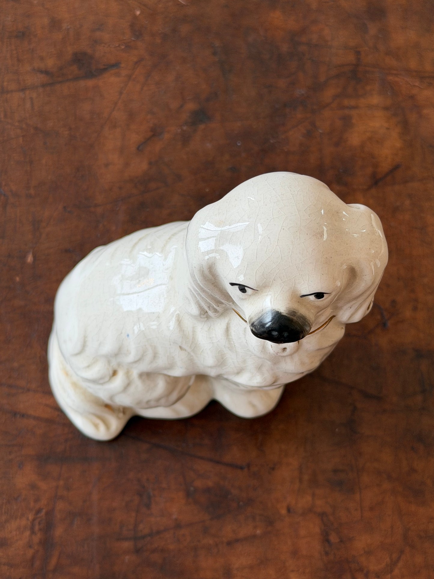 Miniature White Staffordshire Spaniel