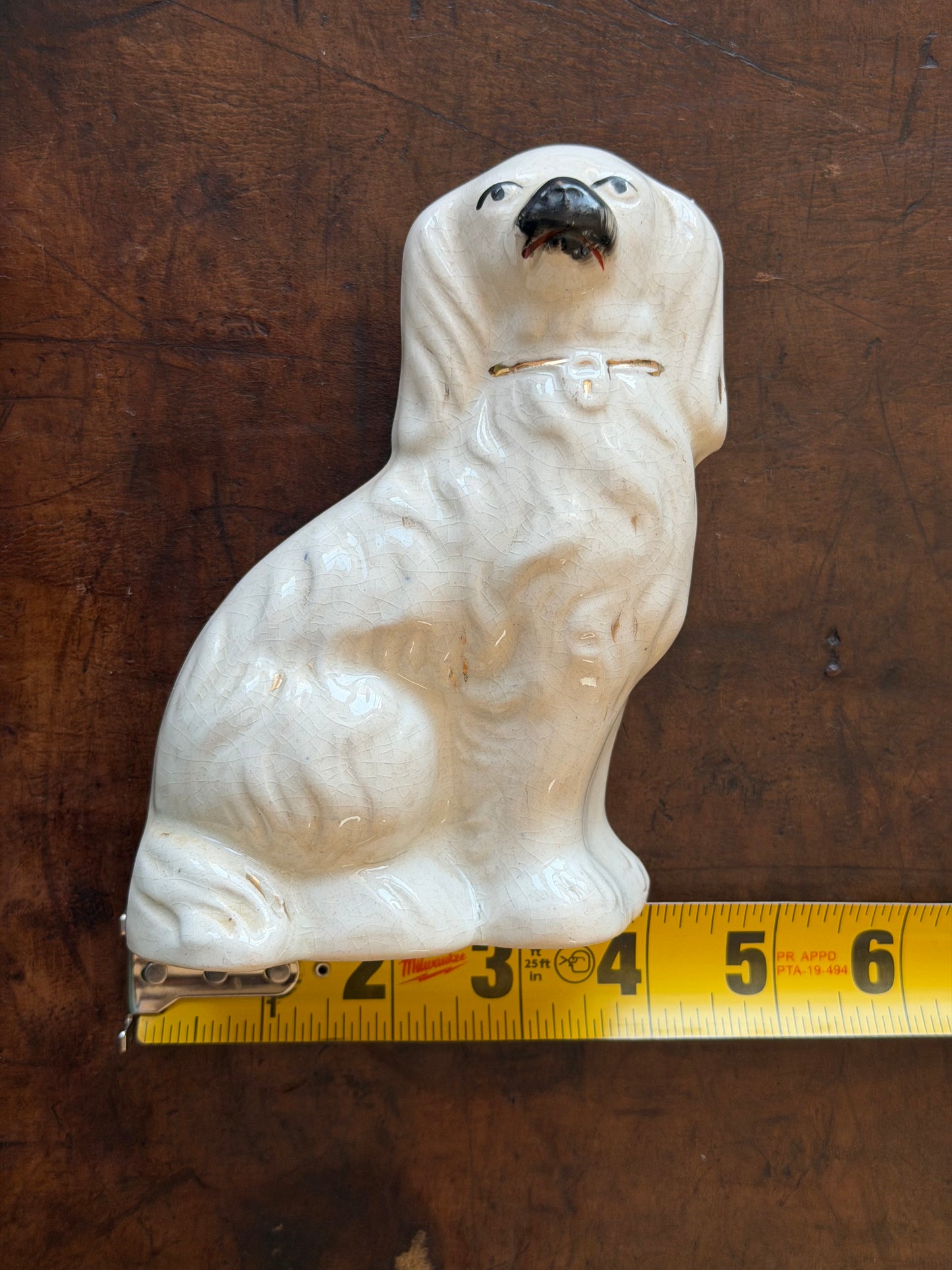Miniature White Staffordshire Spaniel