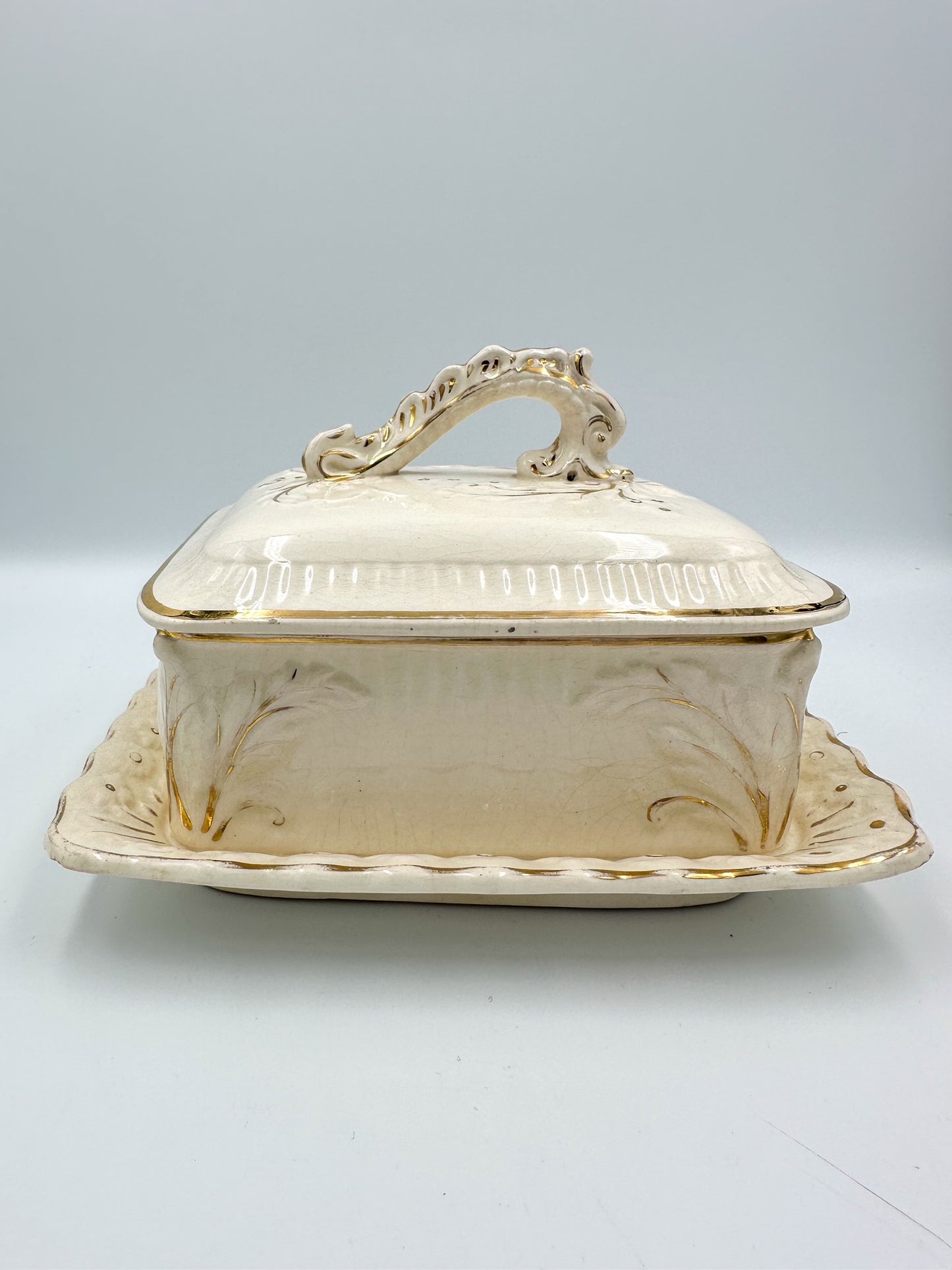 Victorian Cream & Gold Sardine / Butter Dish