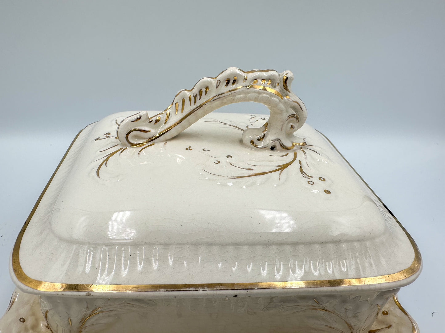 Victorian Cream & Gold Sardine / Butter Dish