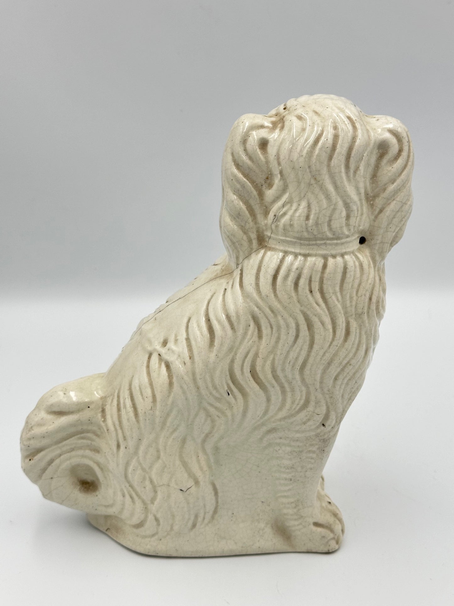 White Single Medium Spaniel - 19th Century