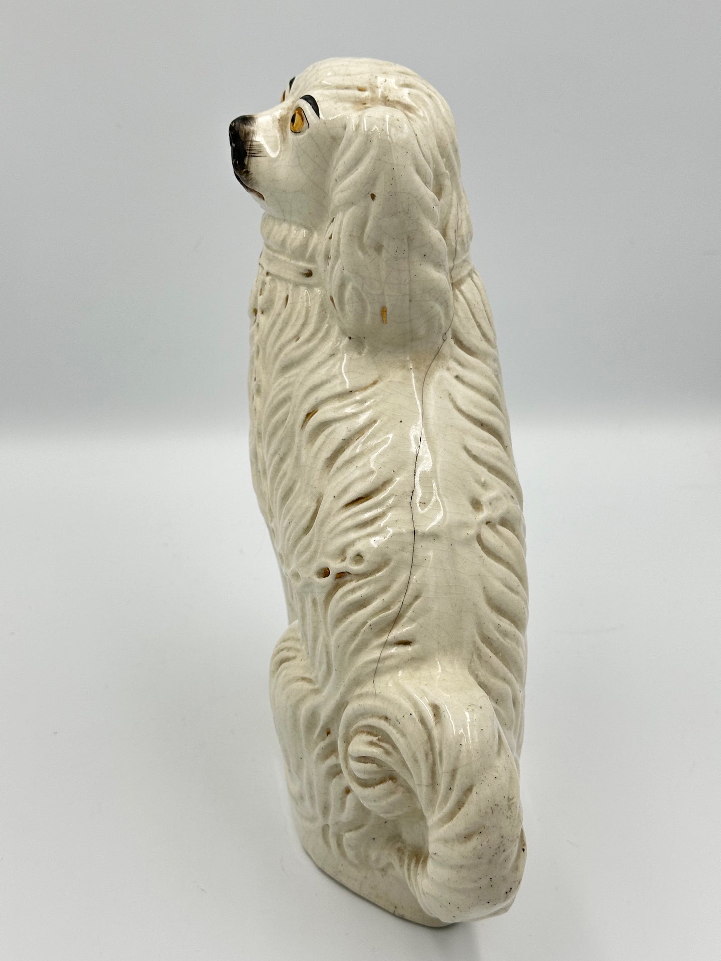 White Single Medium Spaniel - 19th Century