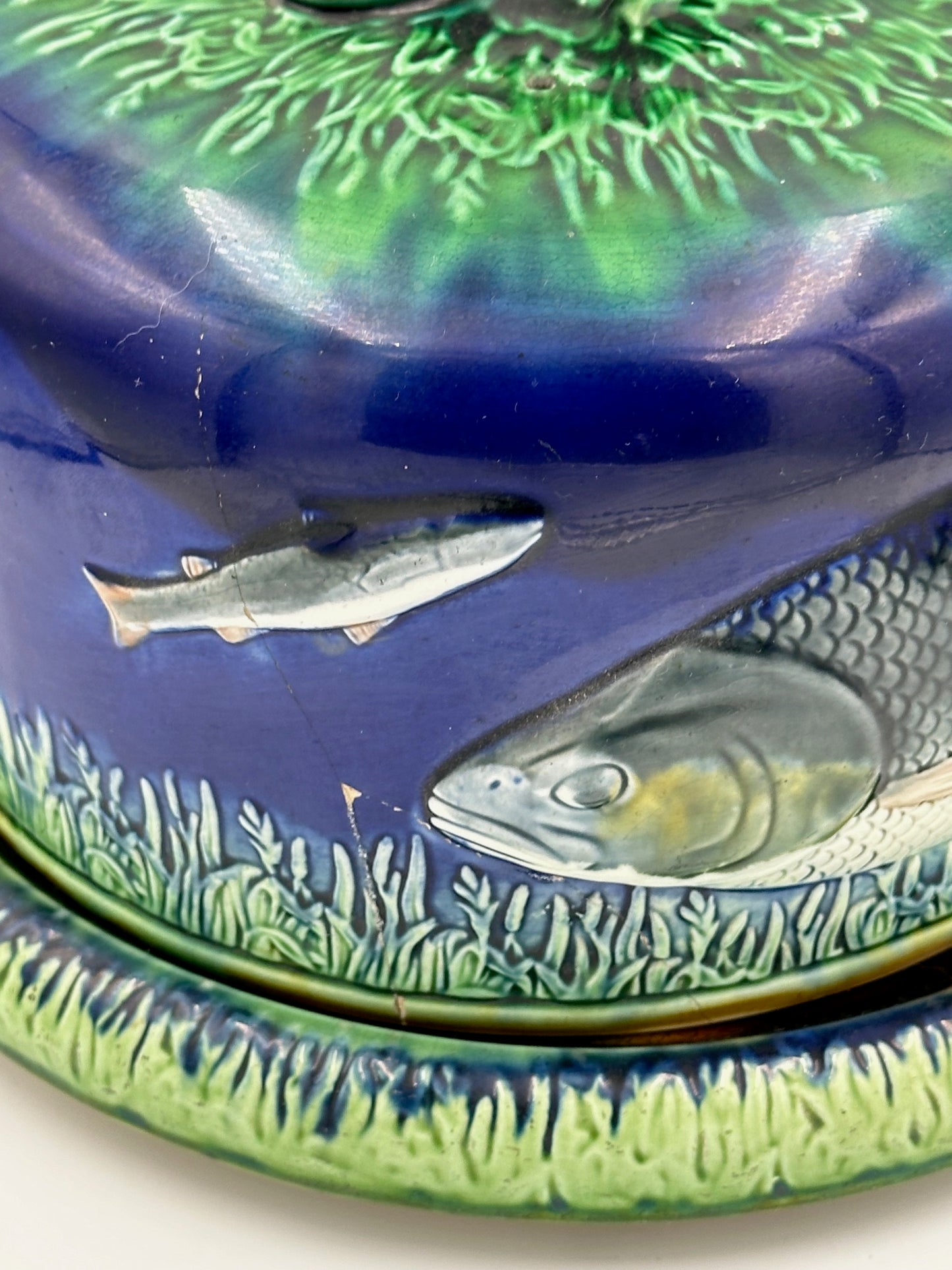 English Majolica Adams & Bromley Fish Cheese Dome