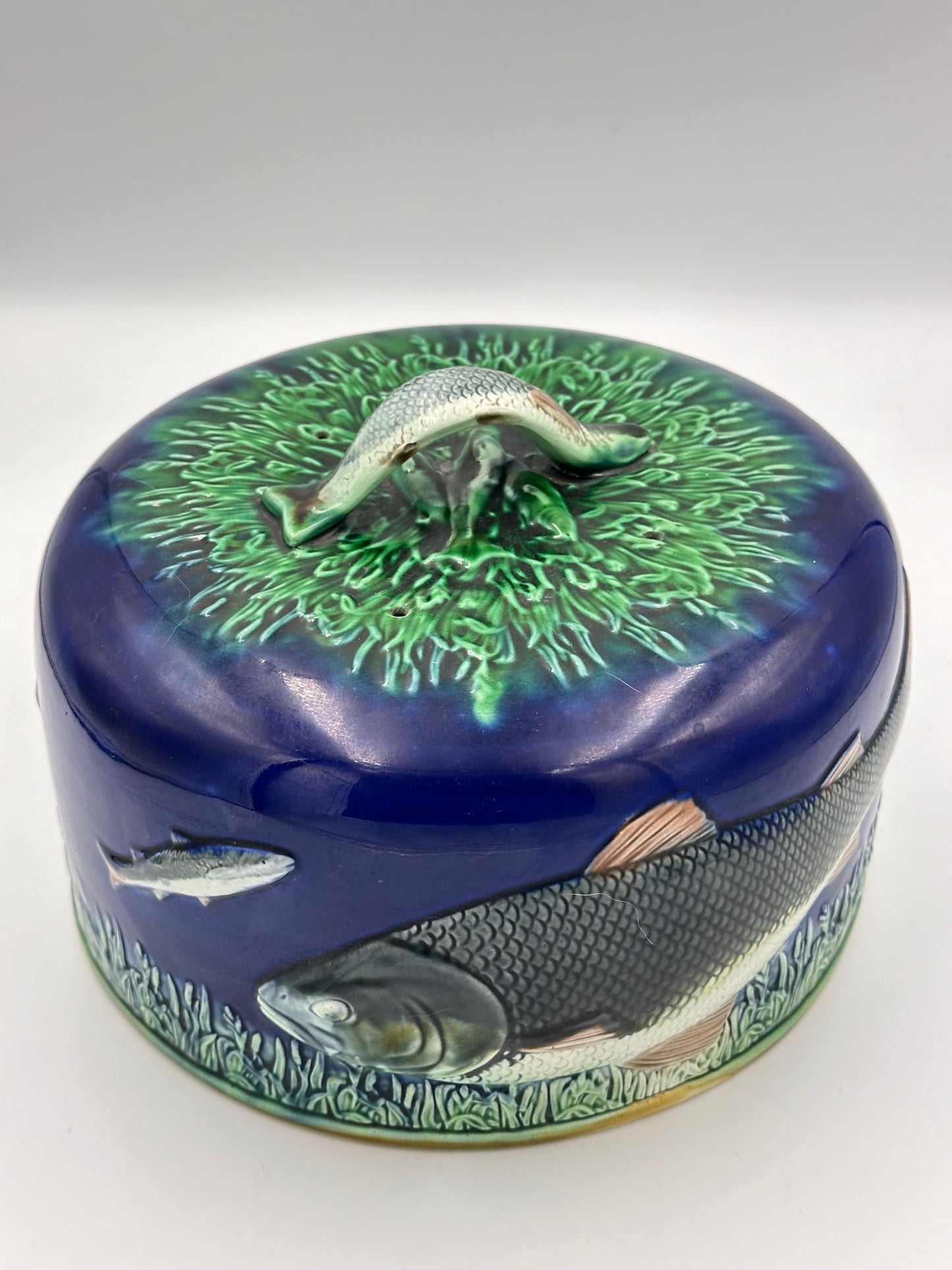 English Majolica Adams & Bromley Fish Cheese Dome