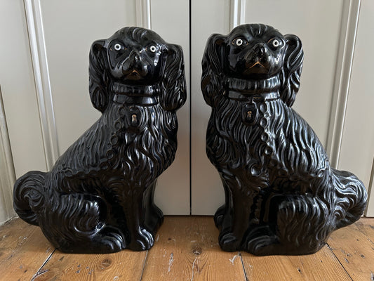 A pair of large black antique Staffordshire King Charles Spaniel dogs with white hand-painted eyes, featuring some gilding on collars, locks, and chains.