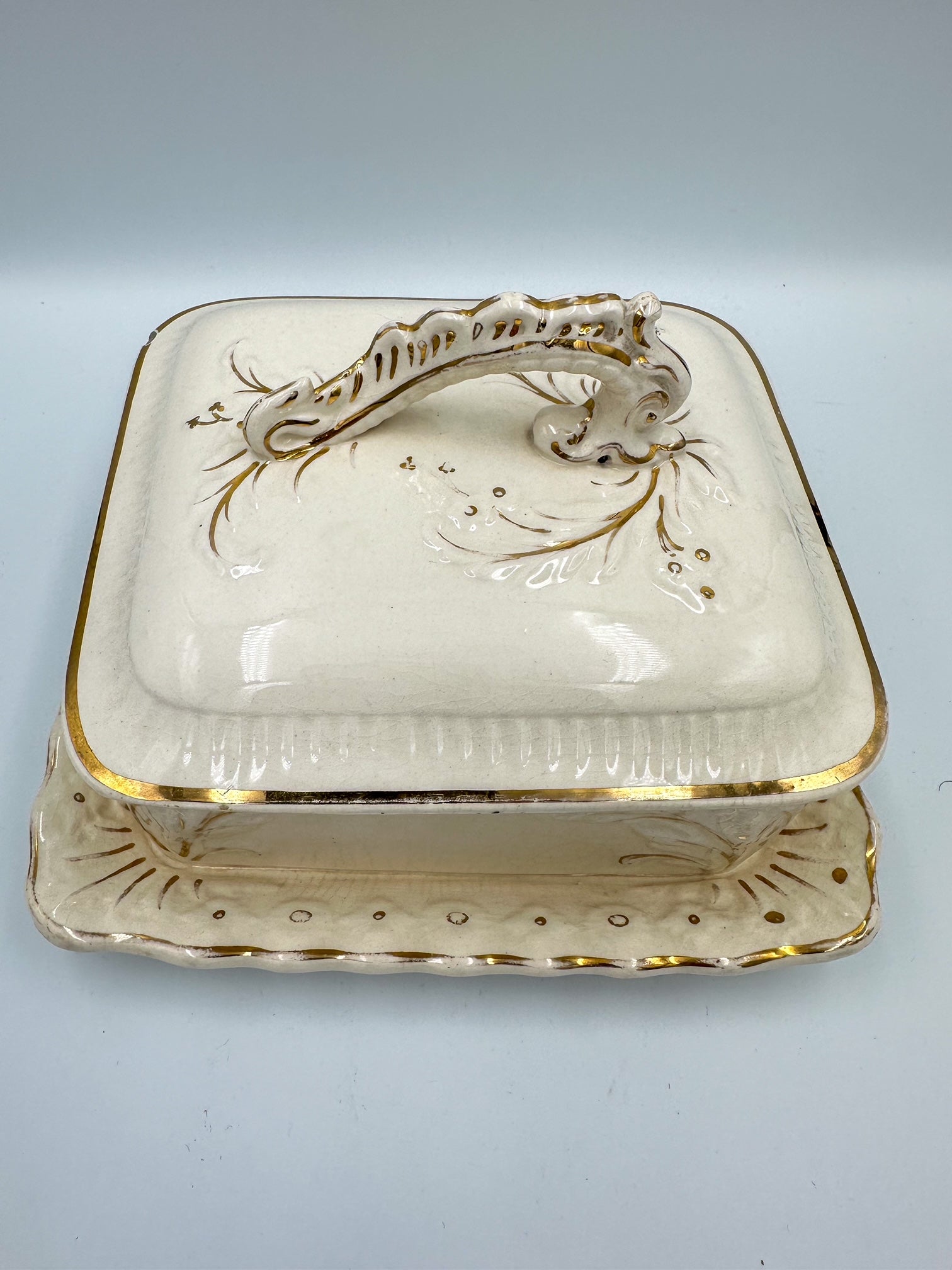 A cream porcelain sardine dish with gold embellishments, featuring a floral pattern and a handle, displayed against a plain background.